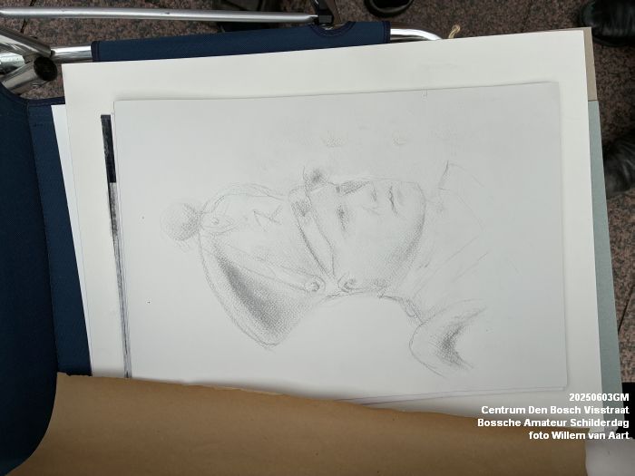 IMG_1775- Centrum Den Bosch Visstraat  Bossche Amateur Schilderdag - 3juni2025 -  foto Willem van Aart