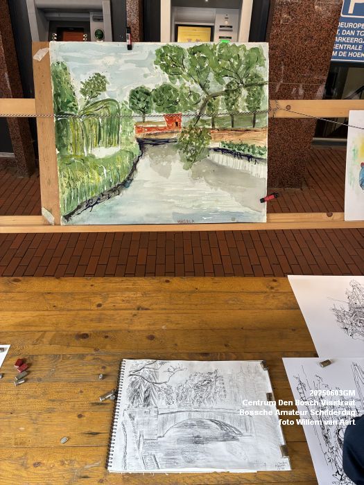 IMG_1800- Centrum Den Bosch Visstraat  Bossche Amateur Schilderdag - 3juni2025 -  foto Willem van Aart