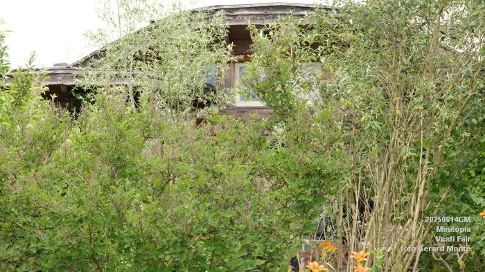 DSC07559- Minitopia - Vesti Fair - 14juni2025 -  foto GerardMontE web