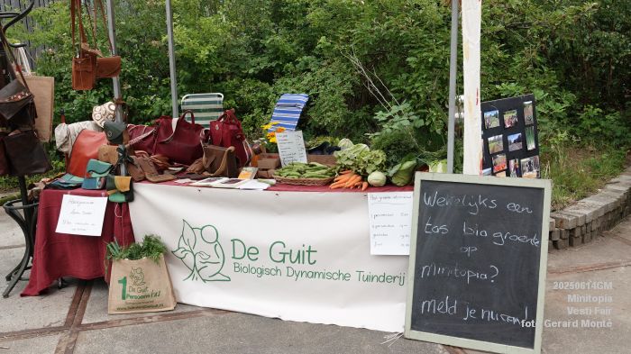 DSC07577- Minitopia - Vesti Fair - 14juni2025 -  foto GerardMontE web