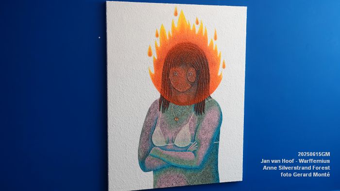DSC07830- galerie Jan van Hoof - Warffemius - anne silverstrand forest - 15juni2025 -  foto GerardMontE web
