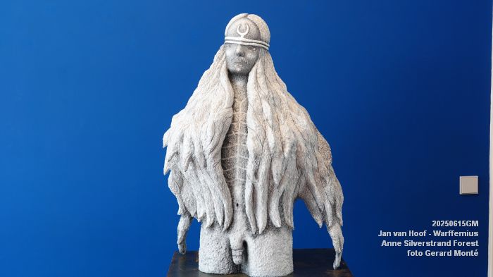 DSC07831- galerie Jan van Hoof - Warffemius - anne silverstrand forest - 15juni2025 -  foto GerardMontE web