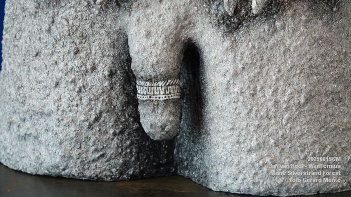 DSC07832- galerie Jan van Hoof - Warffemius - anne silverstrand forest - 15juni2025 -  foto GerardMontE web