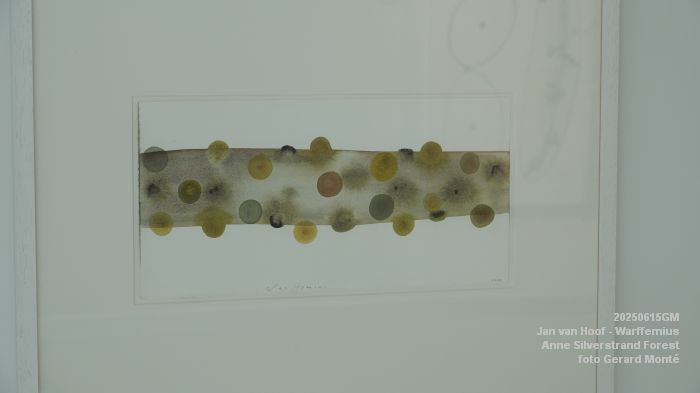 DSC07841- galerie Jan van Hoof - Warffemius - anne silverstrand forest - 15juni2025 -  foto GerardMontE web