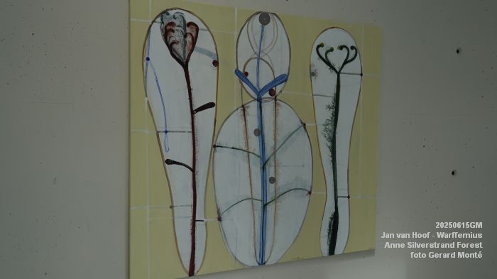 DSC07844- galerie Jan van Hoof - Warffemius - anne silverstrand forest - 15juni2025 -  foto GerardMontE web
