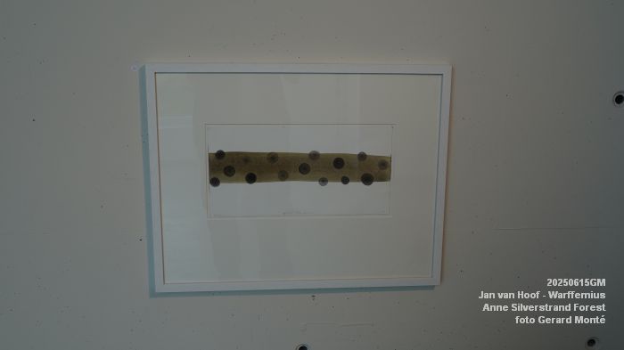 DSC07848- galerie Jan van Hoof - Warffemius - anne silverstrand forest - 15juni2025 -  foto GerardMontE web