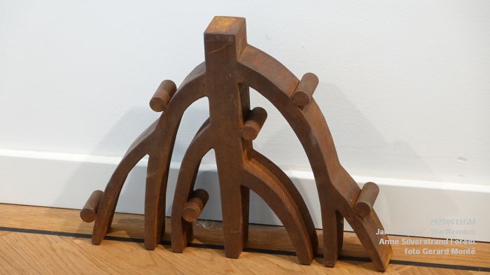 DSC07858- galerie Jan van Hoof - Warffemius - anne silverstrand forest - 15juni2025 -  foto GerardMontE web