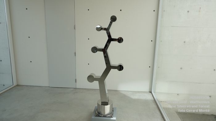 DSC07859- galerie Jan van Hoof - Warffemius - anne silverstrand forest - 15juni2025 -  foto GerardMontE web