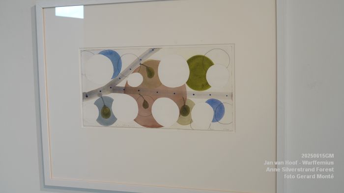 DSC07862- galerie Jan van Hoof - Warffemius - anne silverstrand forest - 15juni2025 -  foto GerardMontE web