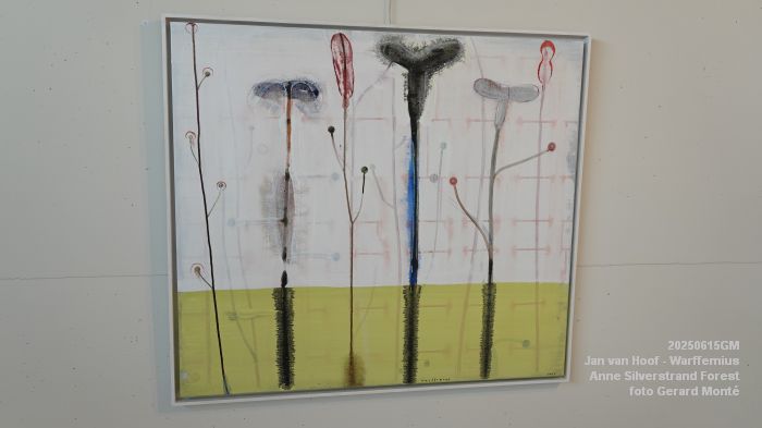 DSC07863- galerie Jan van Hoof - Warffemius - anne silverstrand forest - 15juni2025 -  foto GerardMontE web