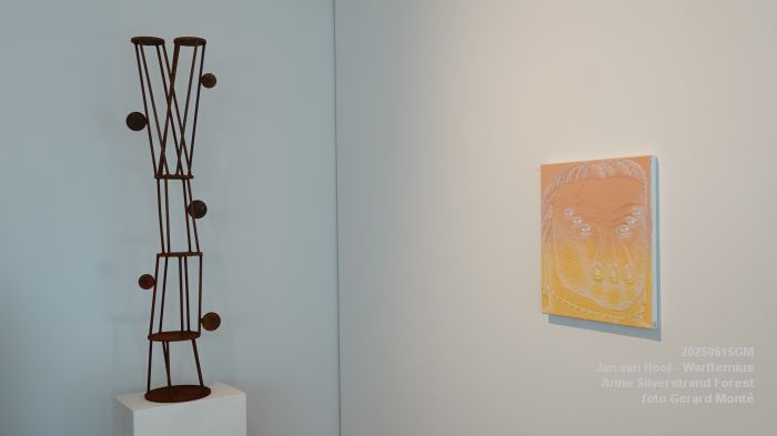 DSC07868- galerie Jan van Hoof - Warffemius - anne silverstrand forest - 15juni2025 -  foto GerardMontE web