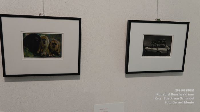 DSC09685- Kunsthal Boschveld - Keg - Spectrum Schijndel - 28jun2025 -  foto GerardMontE web