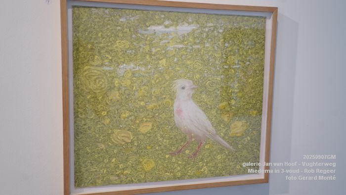 DSC06853- galerie Jan van Hoof - Miedema in 3-voud - Rob Regeer - 7sep2025 -  foto GerardMontE