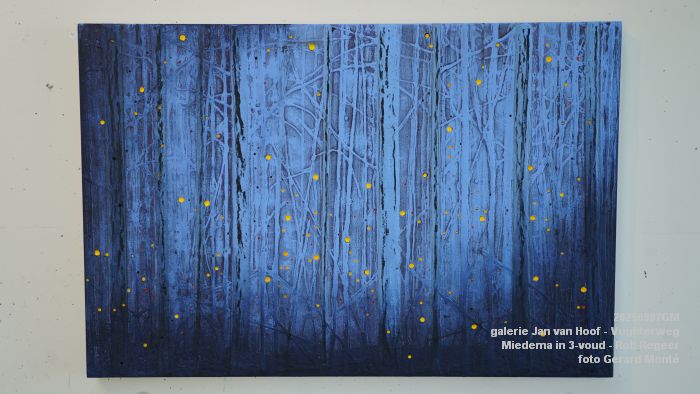 DSC06874- galerie Jan van Hoof - Miedema in 3-voud - Rob Regeer - 7sep2025 -  foto GerardMontE