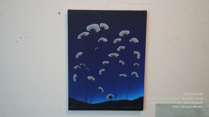 DSC06878- galerie Jan van Hoof - Miedema in 3-voud - Rob Regeer - 7sep2025 -  foto GerardMontE