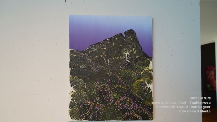 DSC06879- galerie Jan van Hoof - Miedema in 3-voud - Rob Regeer - 7sep2025 -  foto GerardMontE