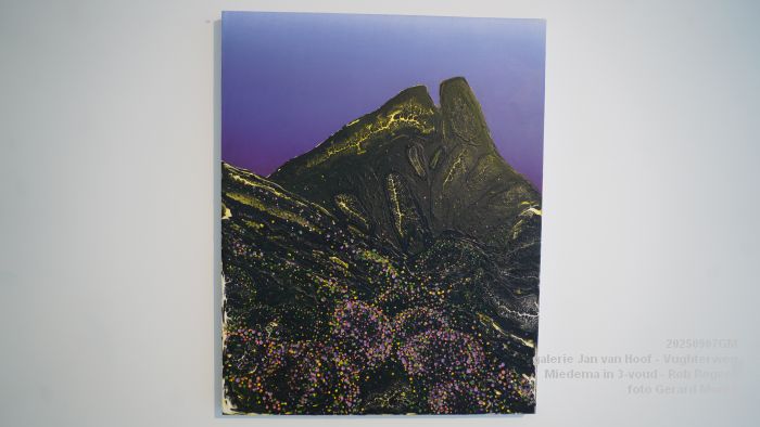 DSC06882- galerie Jan van Hoof - Miedema in 3-voud - Rob Regeer - 7sep2025 -  foto GerardMontE