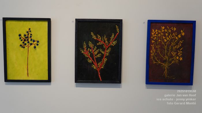 DSC00147- galerie Jan van Hoof - ies schute -  jenny ymker - 19okt2025 -  foto GerardMontE