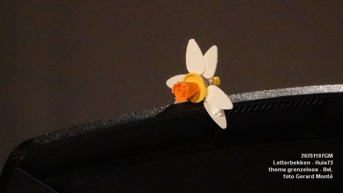 DSC01809- Letterbekken - verwarring - Huis73 BvL - 7nov2025 -  foto GerardMontE