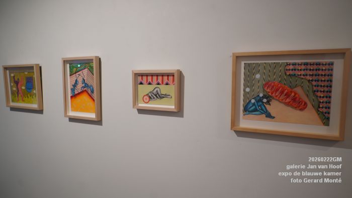 DSC08701- galerie Jan van Hoof - finissage expo de blauwe kamer - 22feb2026 - foto GerardMontE
