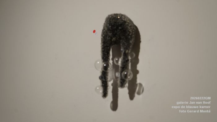 DSC08721- galerie Jan van Hoof - finissage expo de blauwe kamer - 22feb2026 - foto GerardMontE