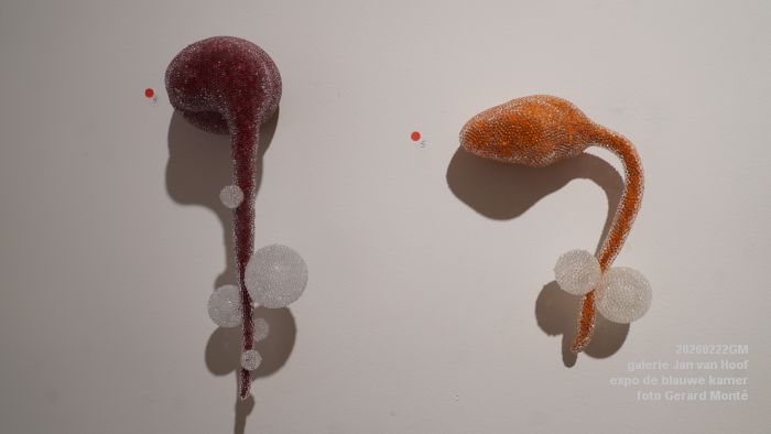 DSC08722- galerie Jan van Hoof - finissage expo de blauwe kamer - 22feb2026 - foto GerardMontE