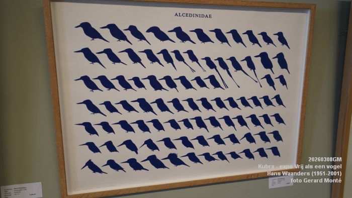 DSC08913- Kubra Rosmalen -  Hans Waanders Vrij als een vogel - 8mrt2026 - foto GerardMontE