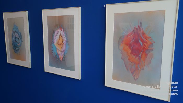 DSC08980- galerie Jan van Hoof - Iris Bouwmeester - Sabina Timmermans - 8mrt2026 - foto GerardMontE