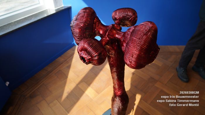 DSC08981- galerie Jan van Hoof - Iris Bouwmeester - Sabina Timmermans - 8mrt2026 - foto GerardMontE