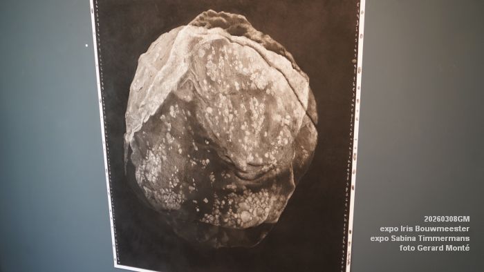 DSC08987- galerie Jan van Hoof - Iris Bouwmeester - Sabina Timmermans - 8mrt2026 - foto GerardMontE