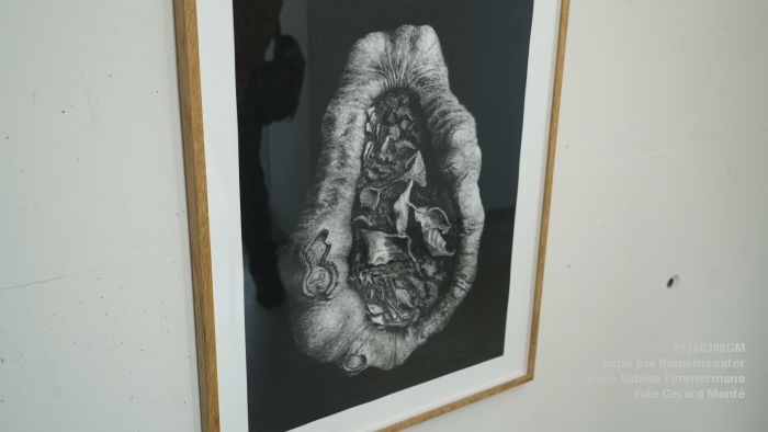 DSC08992- galerie Jan van Hoof - Iris Bouwmeester - Sabina Timmermans - 8mrt2026 - foto GerardMontE