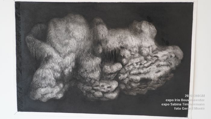DSC09006- galerie Jan van Hoof - Iris Bouwmeester - Sabina Timmermans - 8mrt2026 - foto GerardMontE