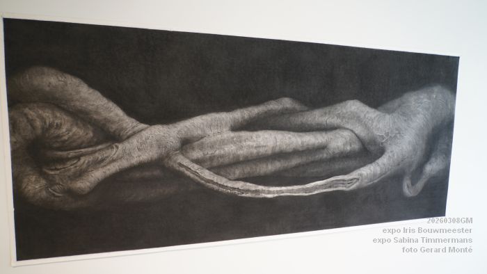 DSC09007- galerie Jan van Hoof - Iris Bouwmeester - Sabina Timmermans - 8mrt2026 - foto GerardMontE