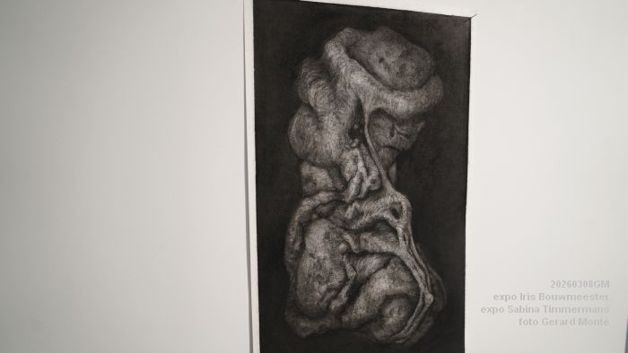 DSC09008- galerie Jan van Hoof - Iris Bouwmeester - Sabina Timmermans - 8mrt2026 - foto GerardMontE