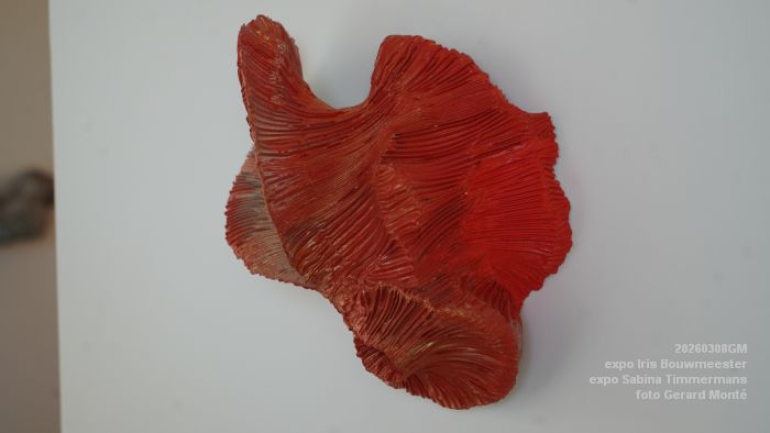 DSC09009- galerie Jan van Hoof - Iris Bouwmeester - Sabina Timmermans - 8mrt2026 - foto GerardMontE