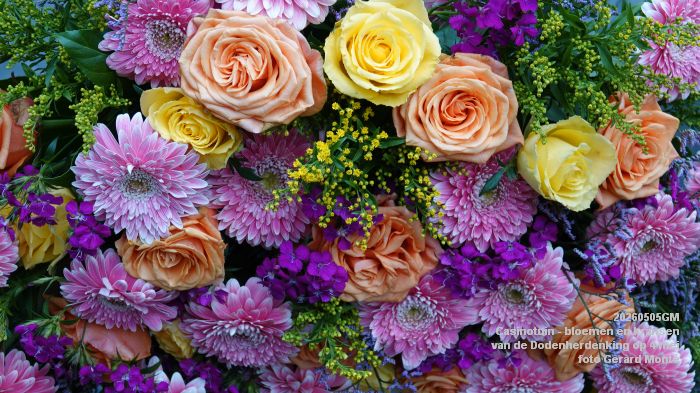 DSC00130- Casinotuin - bloemen en kransen van de Dodenherdenking - 5mei2026 - foto GerardMontE DSC00130- Casinotuin - bloemen en kransen van de Dodenherdenking - 5mei2026 - foto GerardMontE